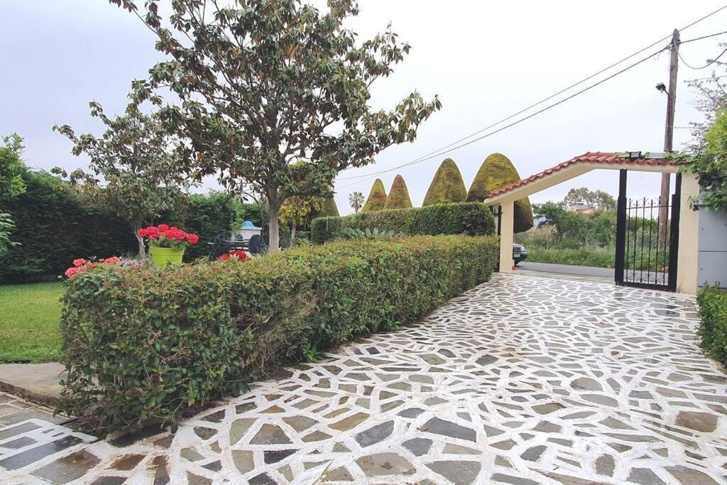 Vacation Studio Oropos Nea Palatia Экстерьер фото